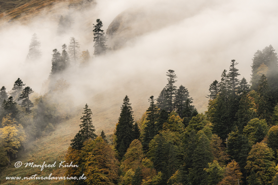 Großer Ahornboden (Österreich)_0098