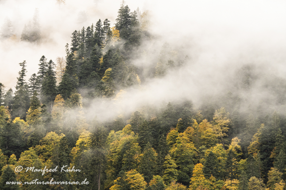 Großer Ahornboden (Österreich)_0100