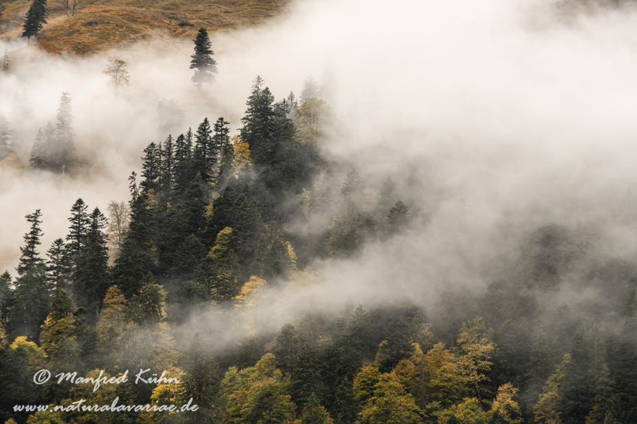 Großer Ahornboden (Österreich)_0101