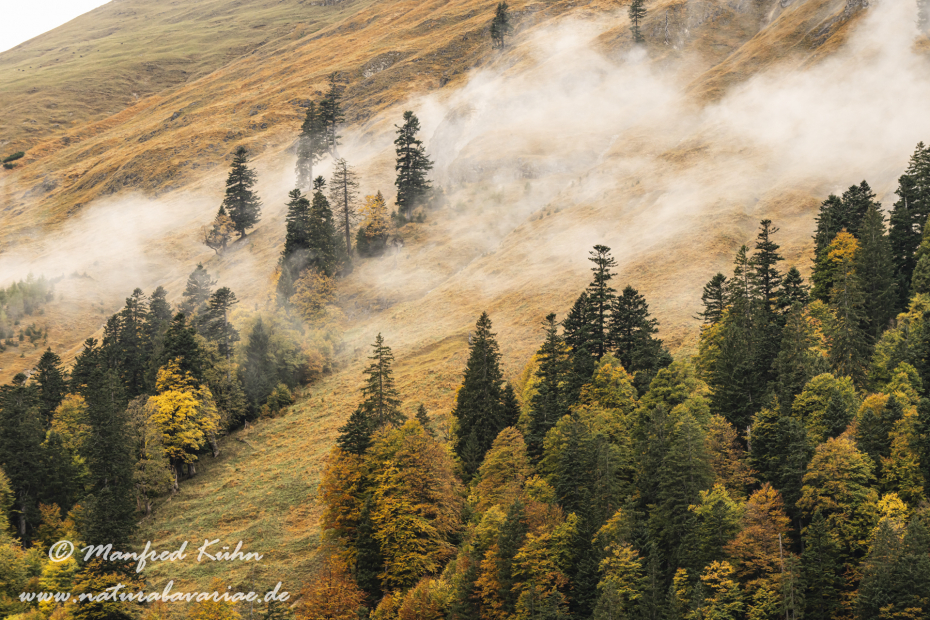 Großer Ahornboden (Österreich)_0102