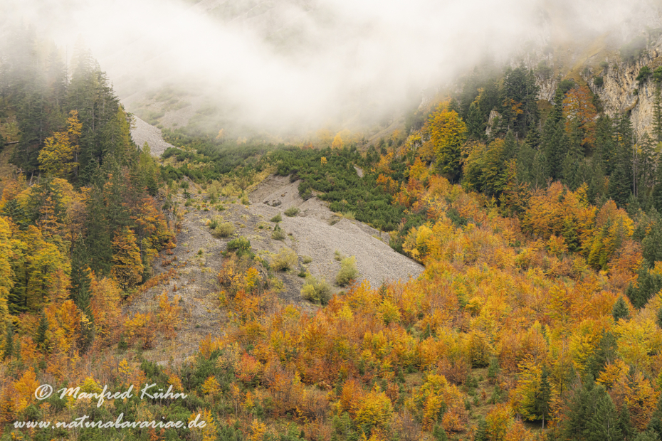 Großer Ahornboden (Österreich)_0103