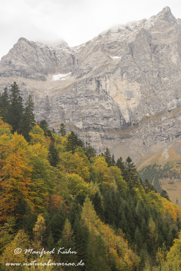 Großer Ahornboden (Österreich)_0105