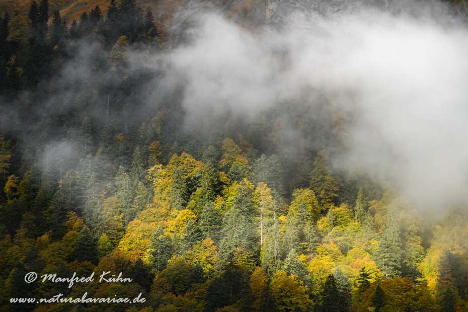 Großer Ahornboden (Österreich)_0108