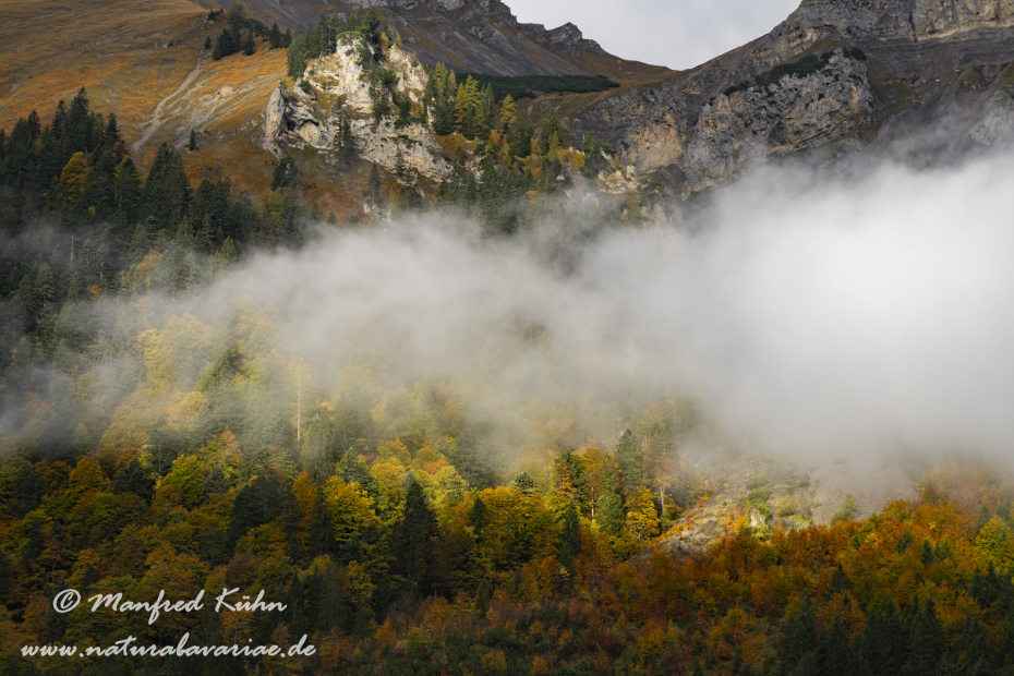 Großer Ahornboden (Österreich)_0112