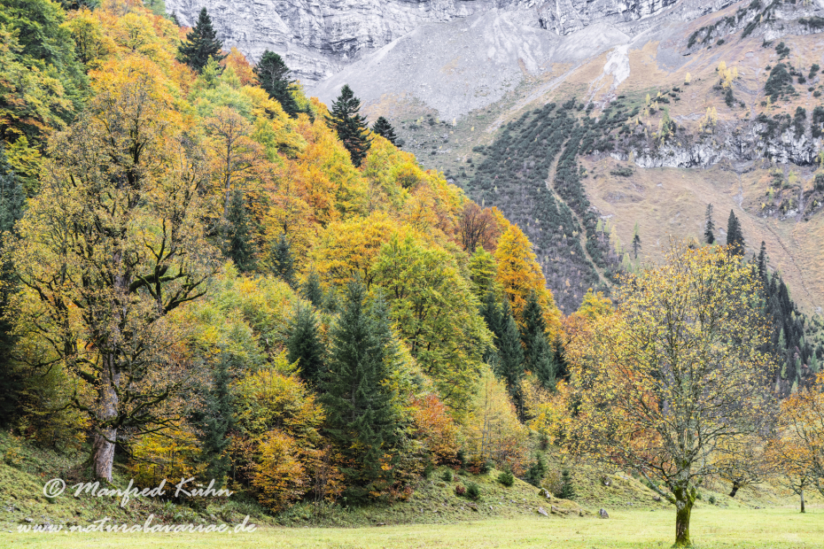Großer Ahornboden (Österreich)_0114