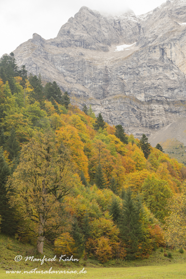 Großer Ahornboden (Österreich)_0115