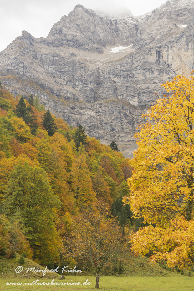 Großer Ahornboden (Österreich)_0116