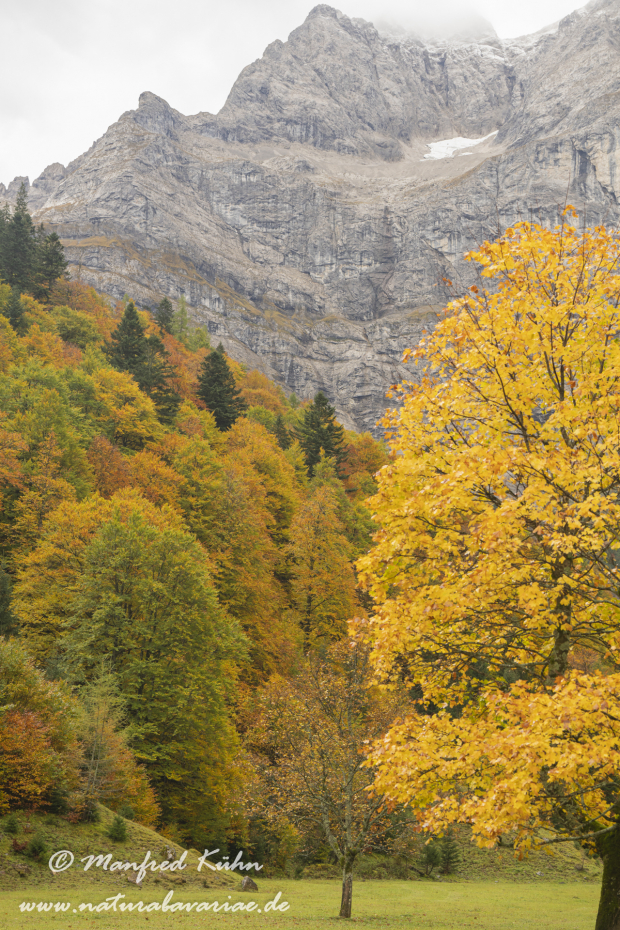 Großer Ahornboden (Österreich)_0118