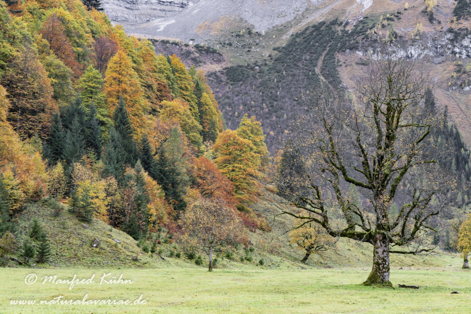 Großer Ahornboden (Österreich)_0120