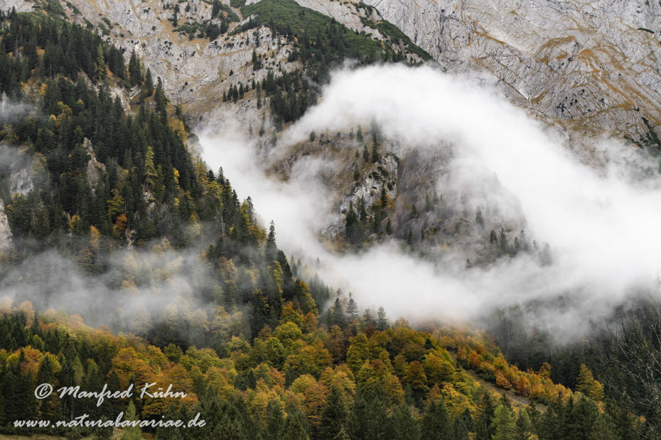 Großer Ahornboden (Österreich)_0122
