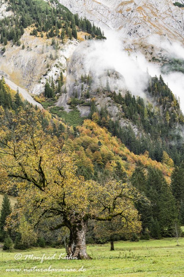 Großer Ahornboden (Österreich)_0124