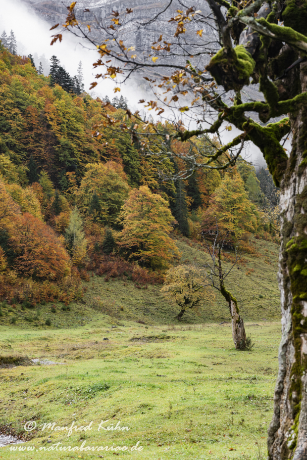 Großer Ahornboden (Österreich)_0127