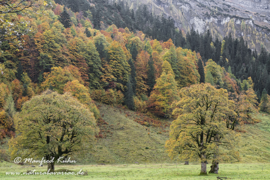 Großer Ahornboden (Österreich)_0128