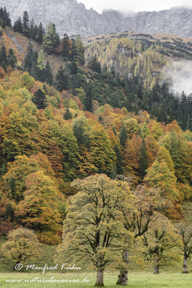 Großer Ahornboden (Österreich)_0129