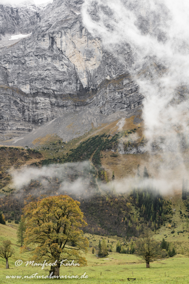 Großer Ahornboden (Österreich)_0133