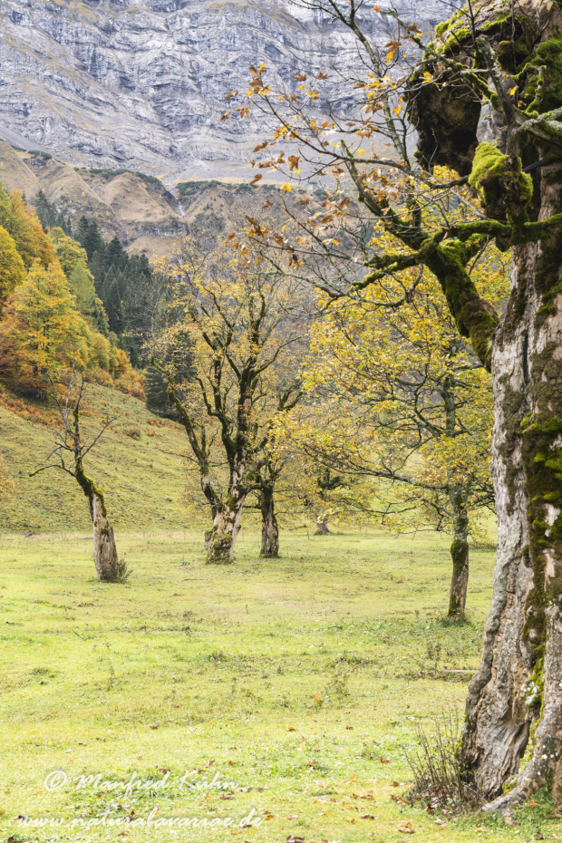 Großer Ahornboden (Österreich)_0135
