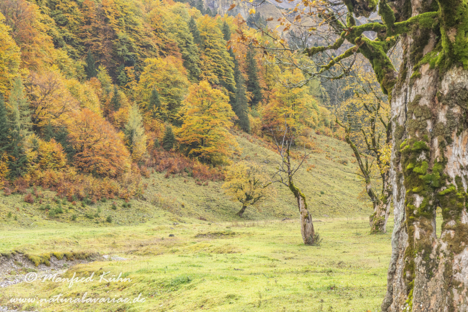 Großer Ahornboden (Österreich)_0136