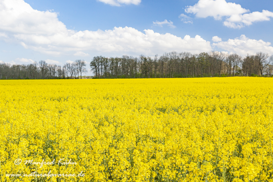 Raps ()_0032