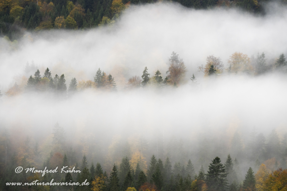 Risstal_Vorderriss (BAY_LKR_TÖL)_0016