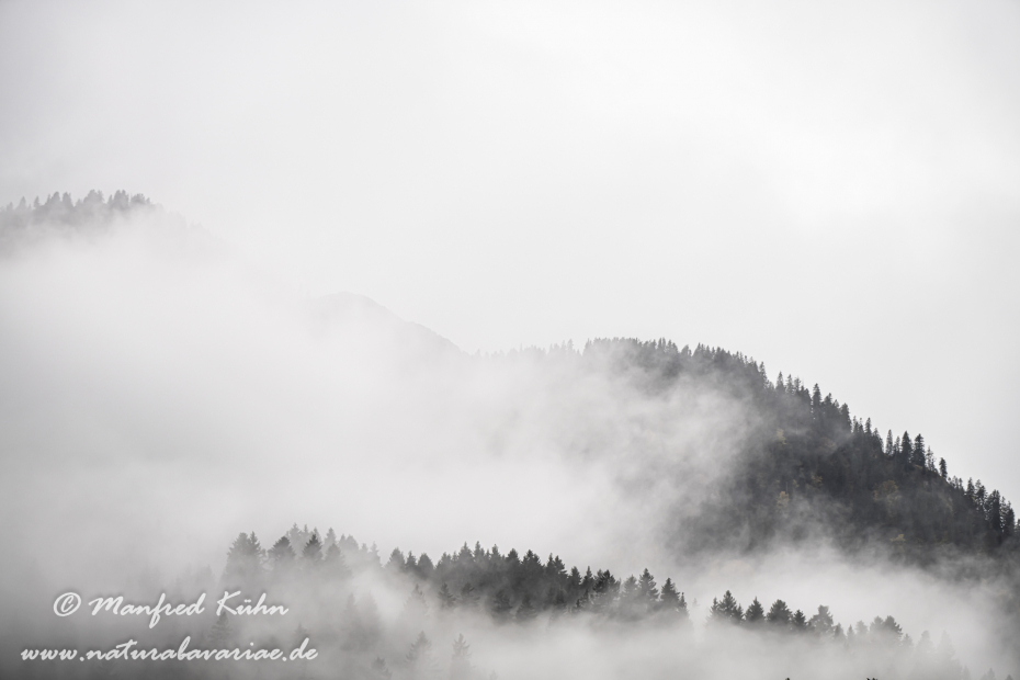 Risstal_Vorderriss (BAY_LKR_TÖL)_0043