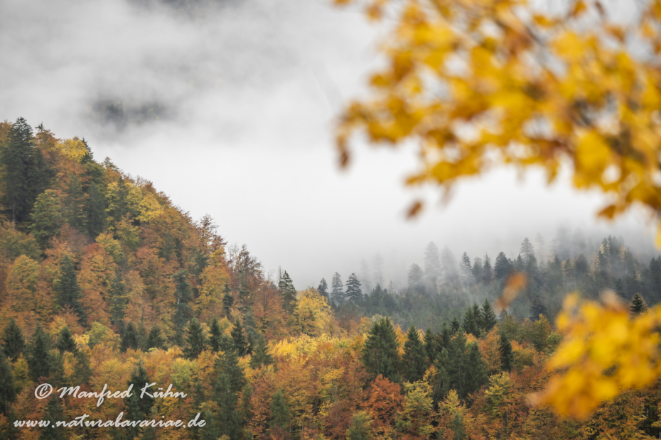 Sylvenstein (BAY_LKR_TÖL)_0030