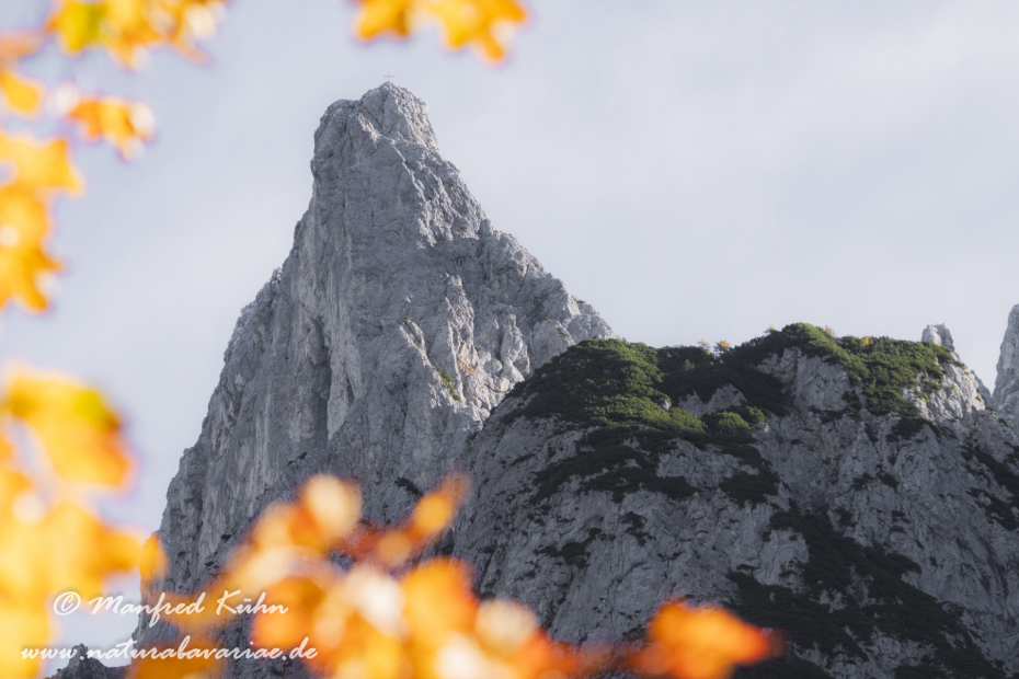 Karwendel (BAY_LKR_GAP)_0036