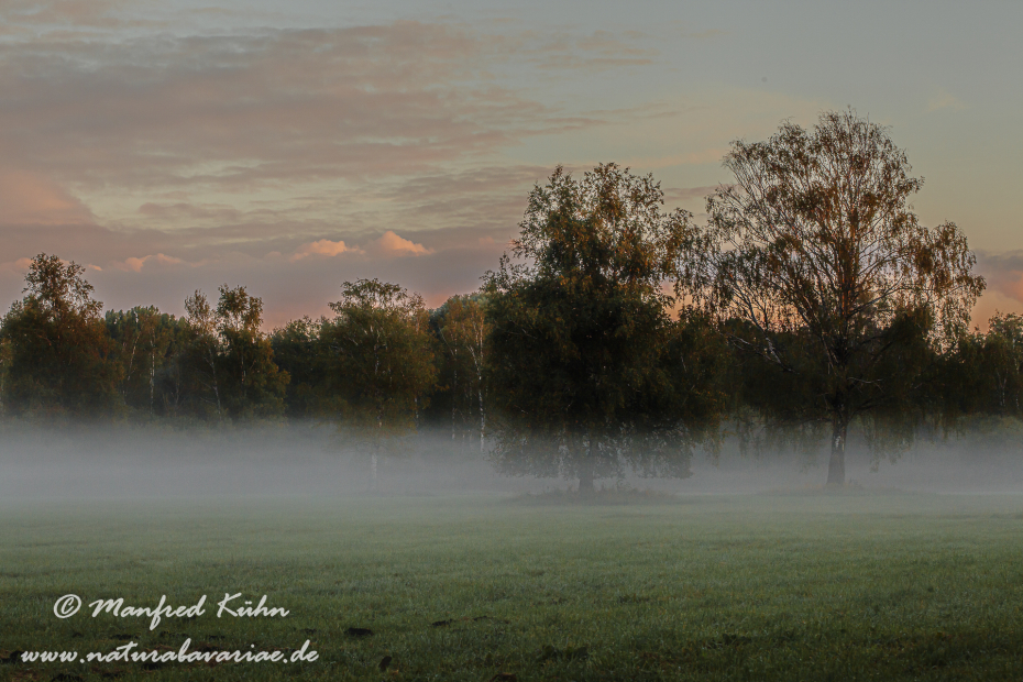 Herbst (Morgennebel)_0021