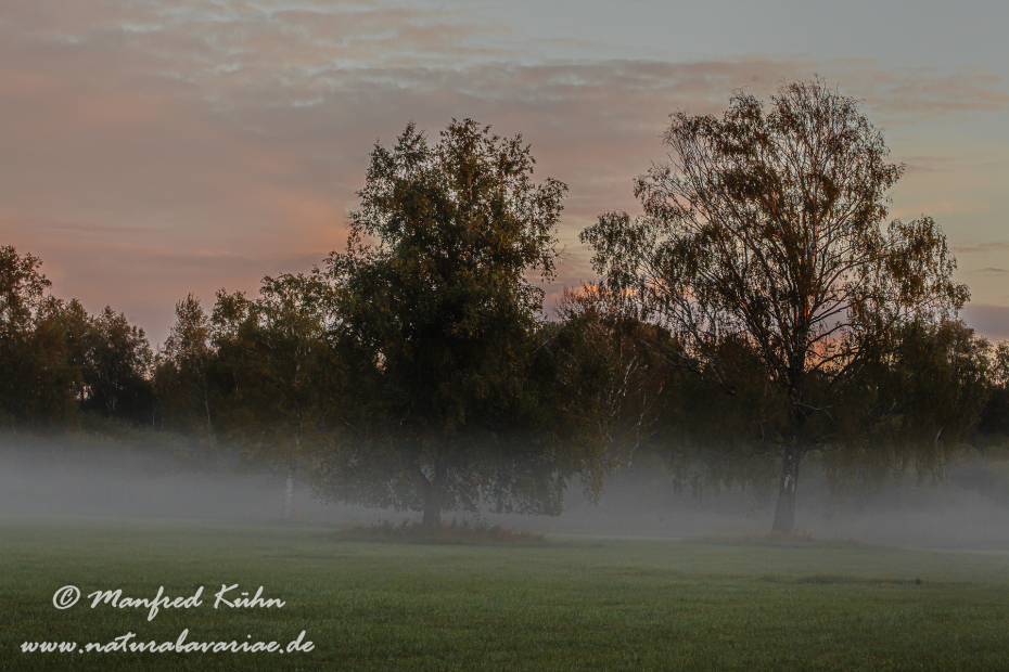 Herbst (Morgennebel)_0022