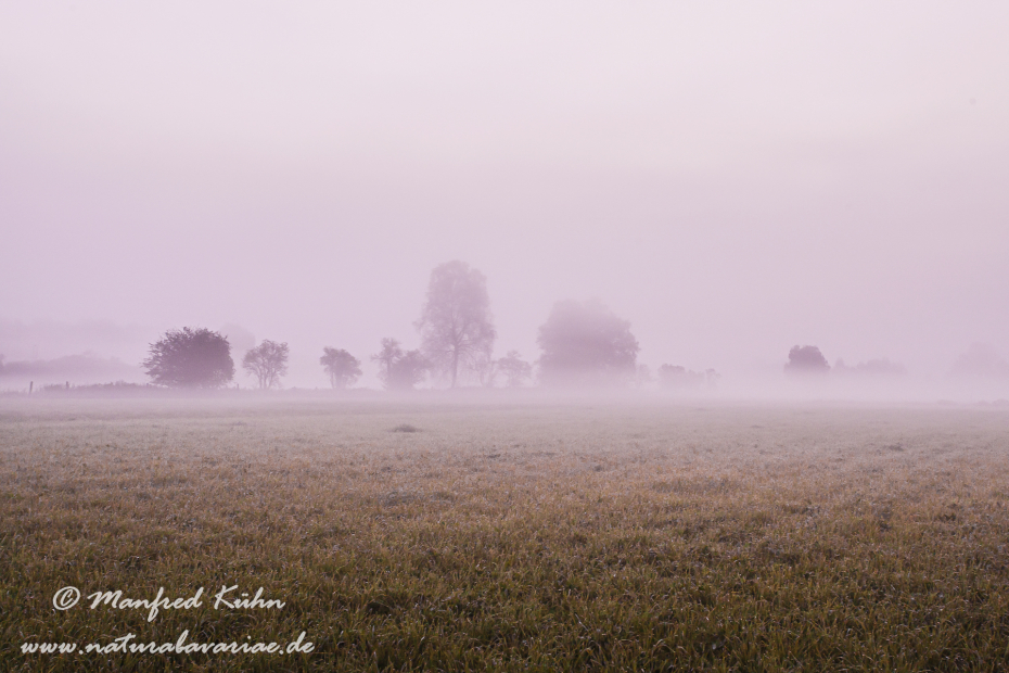 Herbst (Morgennebel)_0023