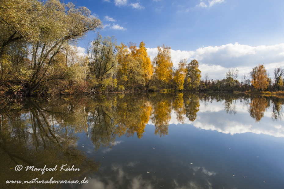 Herbst (Spiegelung)_0012