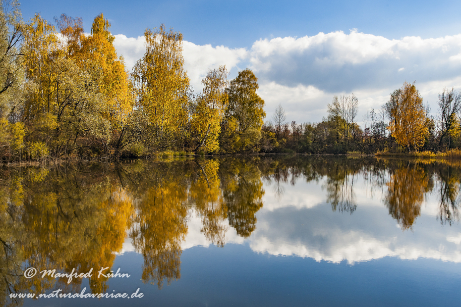 Herbst (Spiegelung)_0013