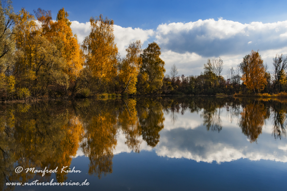 Herbst (Spiegelung)_0014