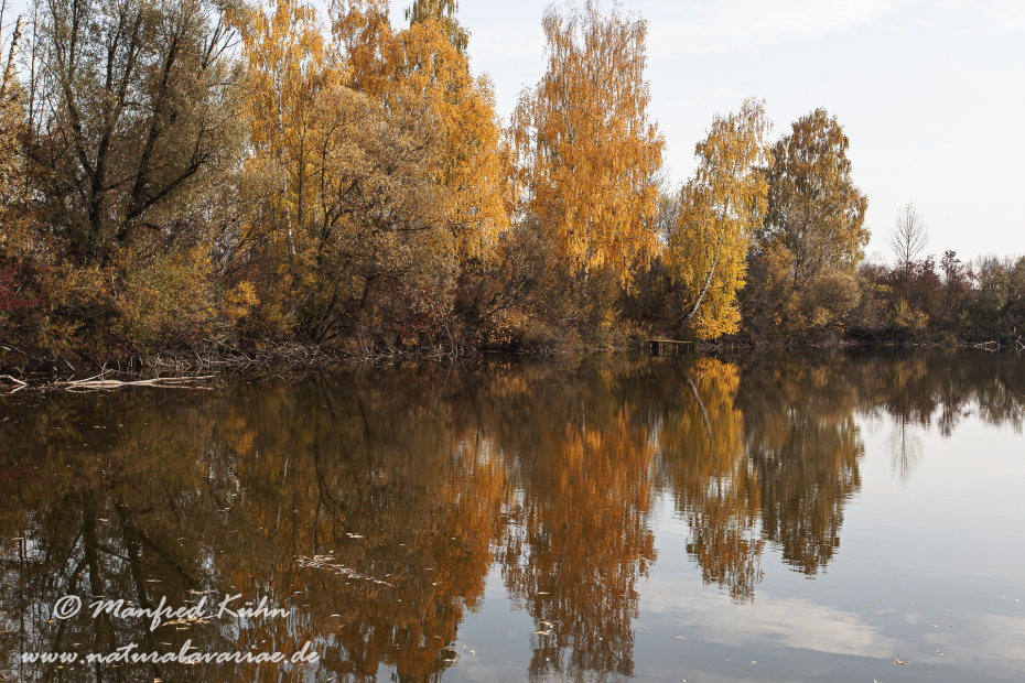 Herbst (Spiegelung)_0022