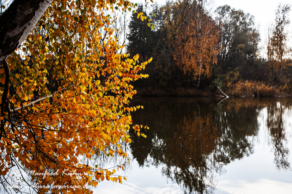 Herbst (Spiegelung)_0023