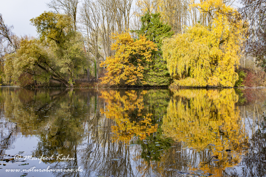 Herbst (Spiegelung)_0029