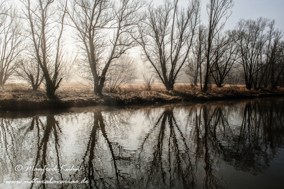 Herbst (Spiegelung)_0035