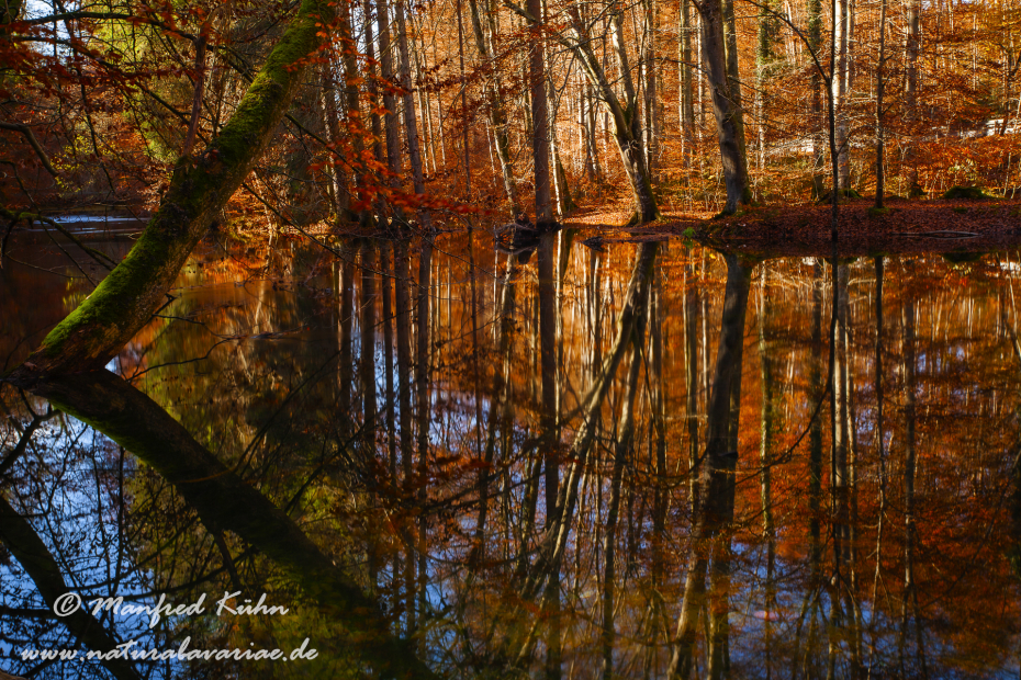 Herbst (Laub und Wasser)_0101
