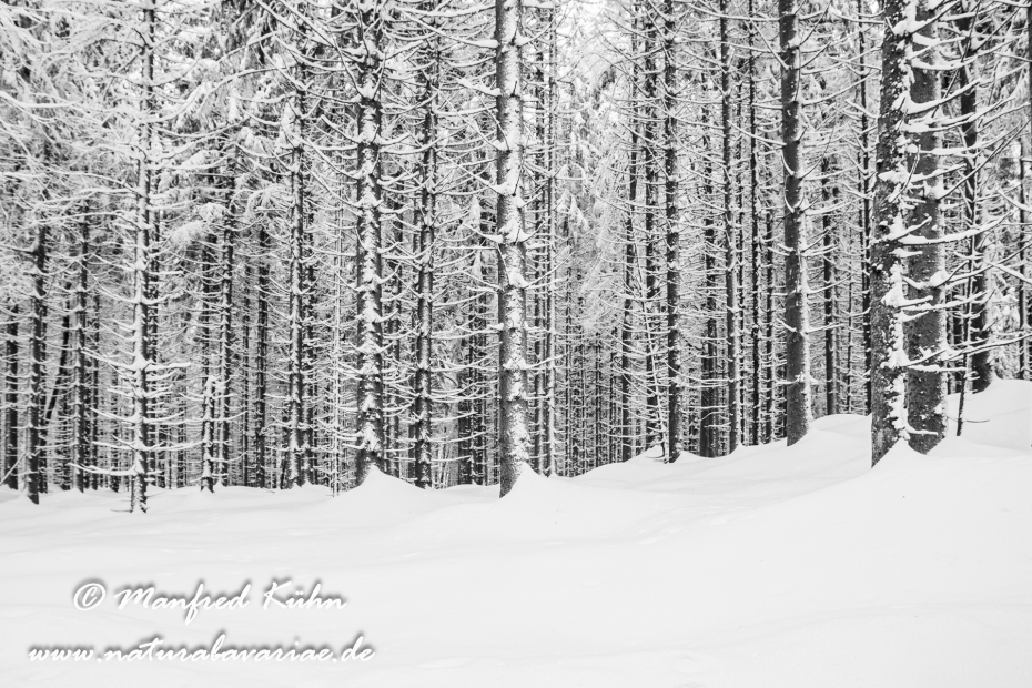 Winter ()_0018