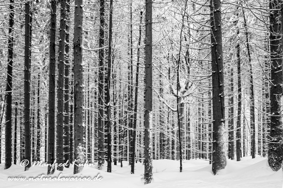 Winter ()_0021