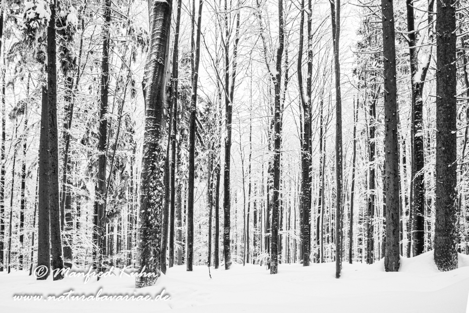 Winter ()_0023