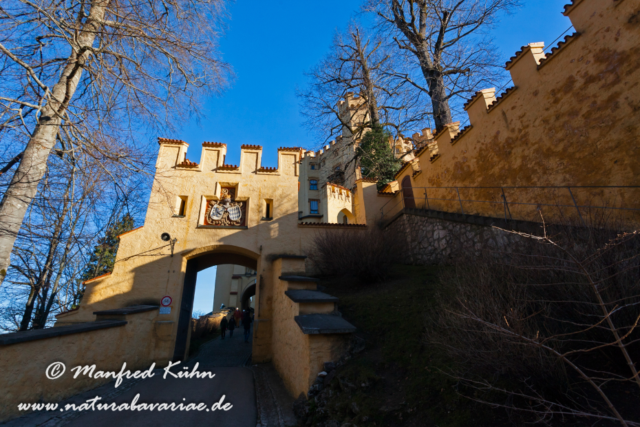 Hohenschwangau-Schloss (BAY_LKR_OAL)_0003
