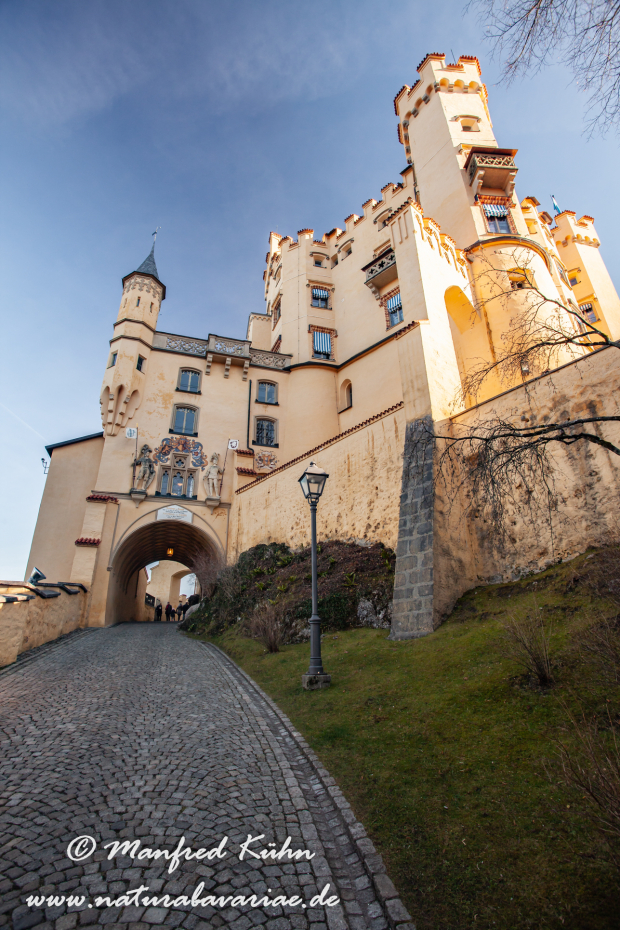 Hohenschwangau-Schloss (BAY_LKR_OAL)_0004