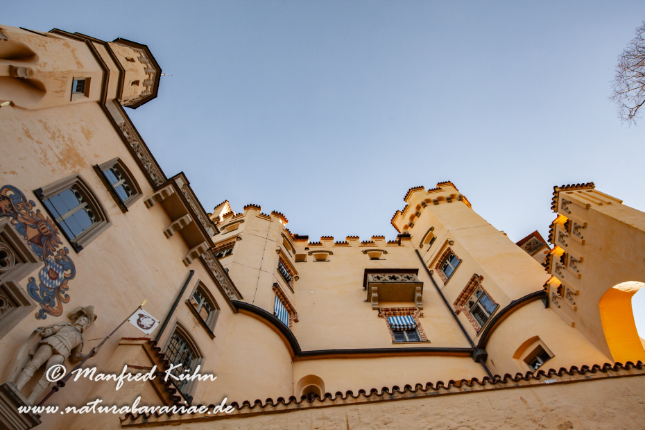 Hohenschwangau-Schloss (BAY_LKR_OAL)_0006