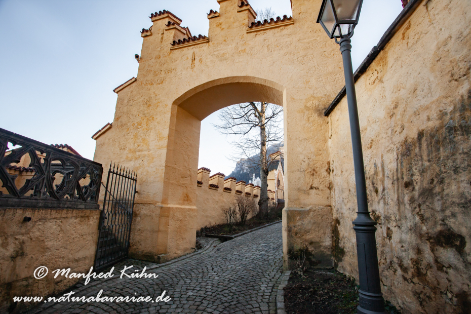 Hohenschwangau-Schloss (BAY_LKR_OAL)_0008