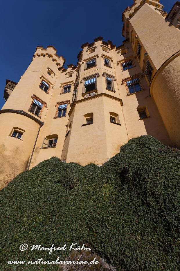 Hohenschwangau-Schloss (BAY_LKR_OAL)_0012