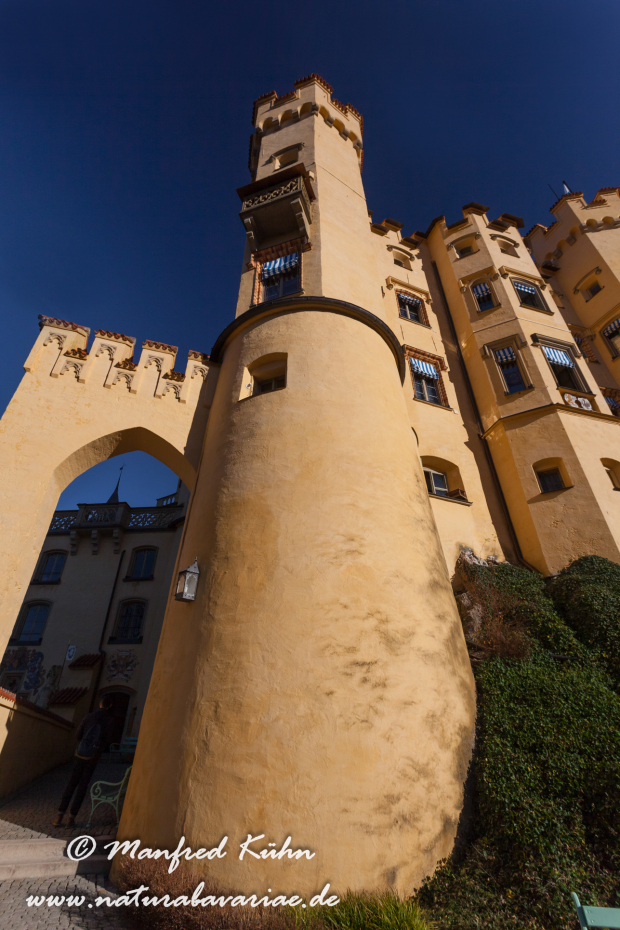 Hohenschwangau-Schloss (BAY_LKR_OAL)_0013