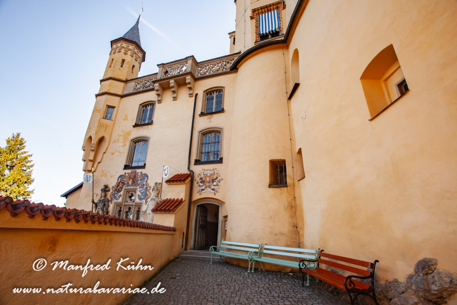Hohenschwangau-Schloss (BAY_LKR_OAL)_0014