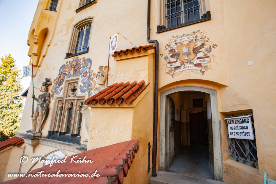 Hohenschwangau-Schloss (BAY_LKR_OAL)_0015