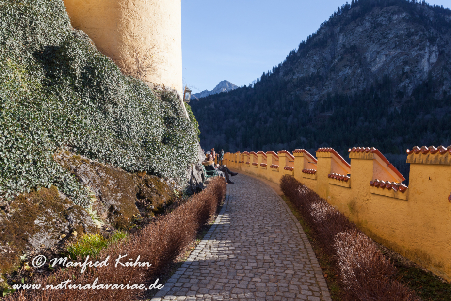 Hohenschwangau-Schloss (BAY_LKR_OAL)_0017
