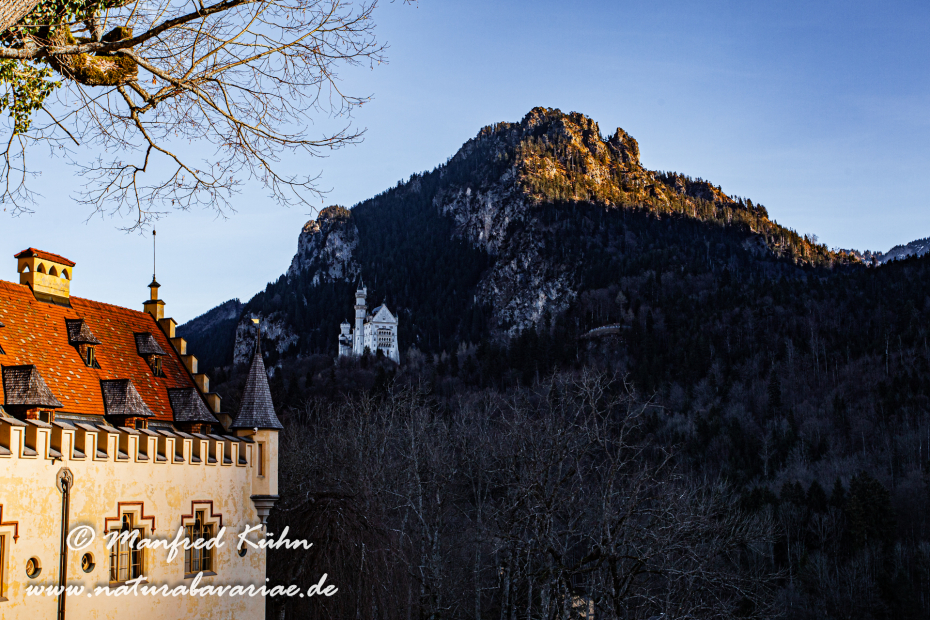 Hohenschwangau-Schloss (BAY_LKR_OAL)_0018